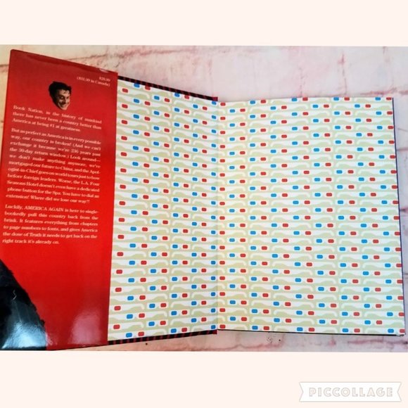 America Again: Re-Becoming the Greatness We Never Weren't - Picture 7 of 8